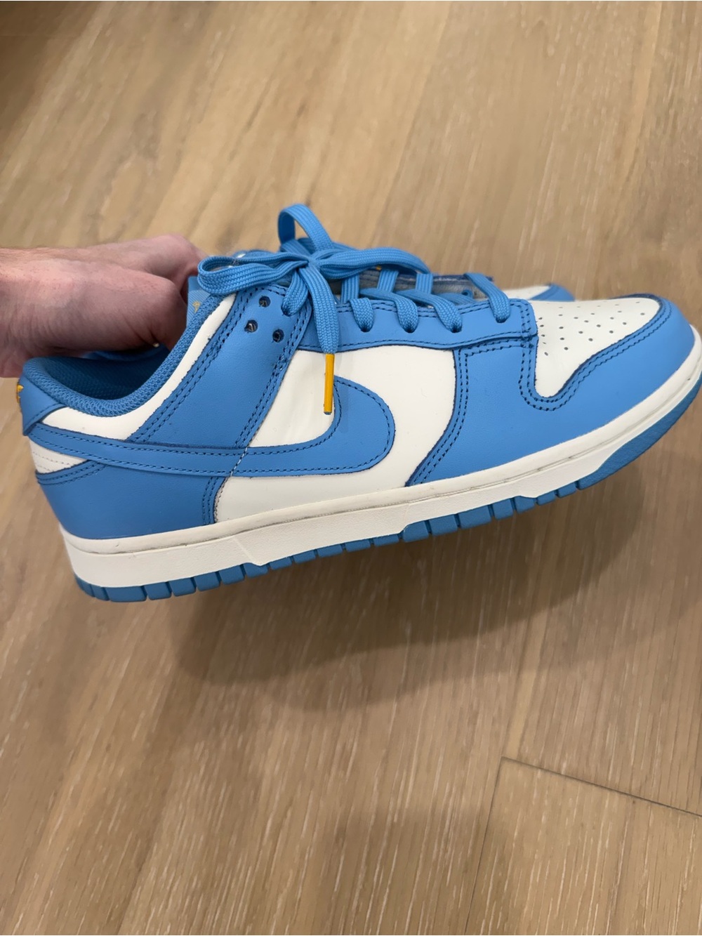 Nike Dunk Low